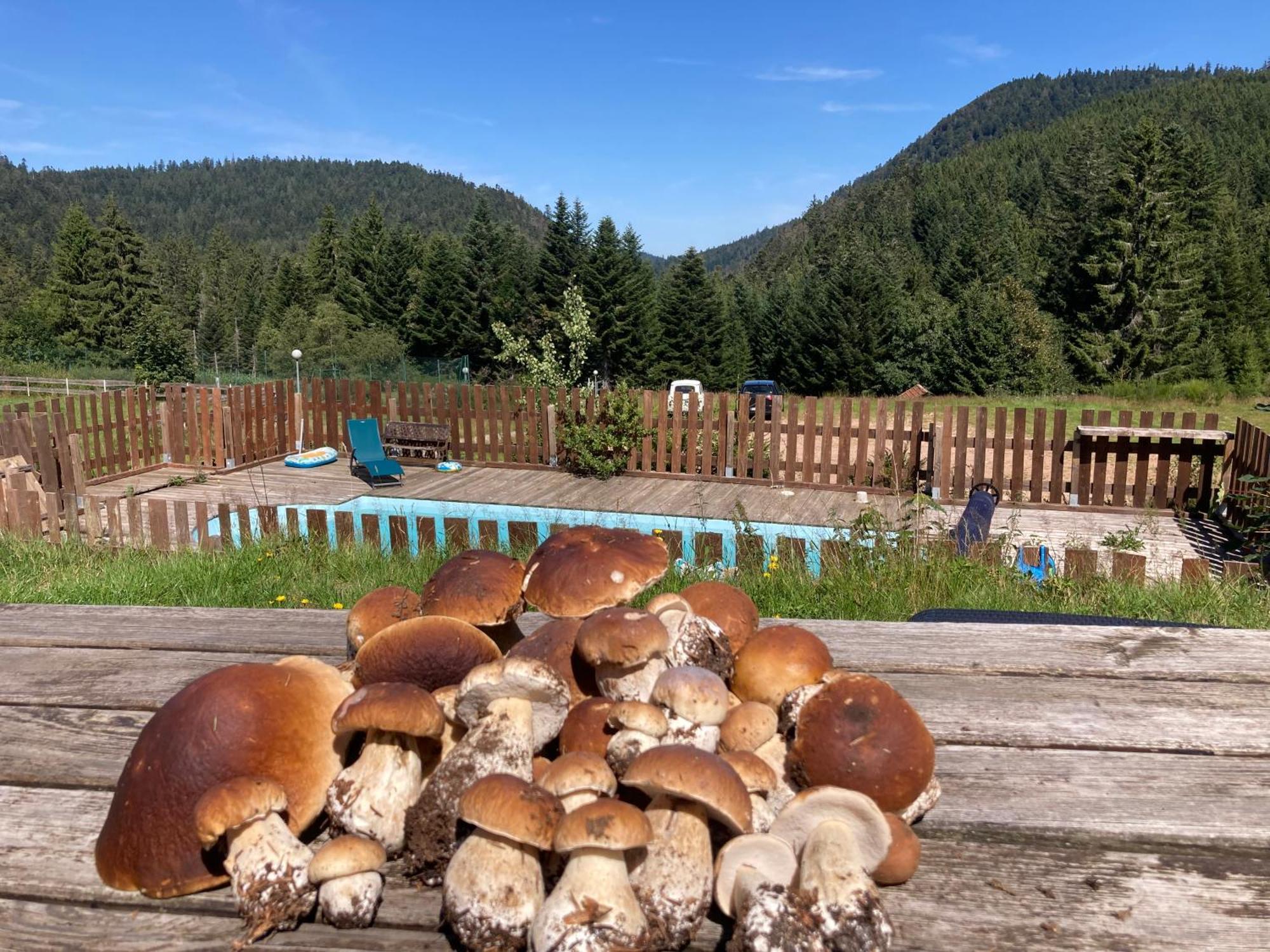 Le Perchoir Du Grand Valtin - Gite 5 Personnes - Altitude 830 Ban-sur-Meurthe-Clefcy Exterior foto