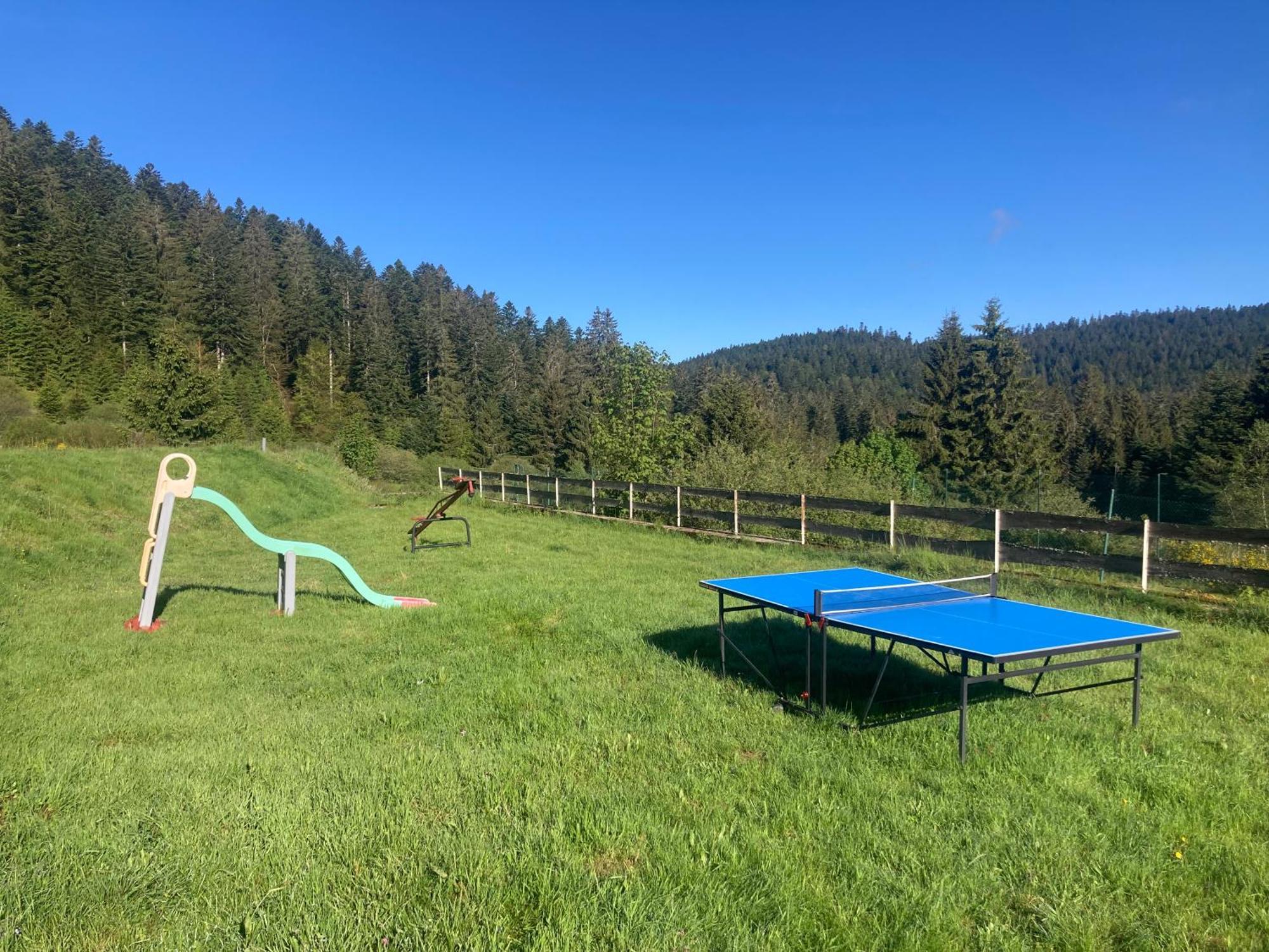 Le Perchoir Du Grand Valtin - Gite 5 Personnes - Altitude 830 Ban-sur-Meurthe-Clefcy Exterior foto