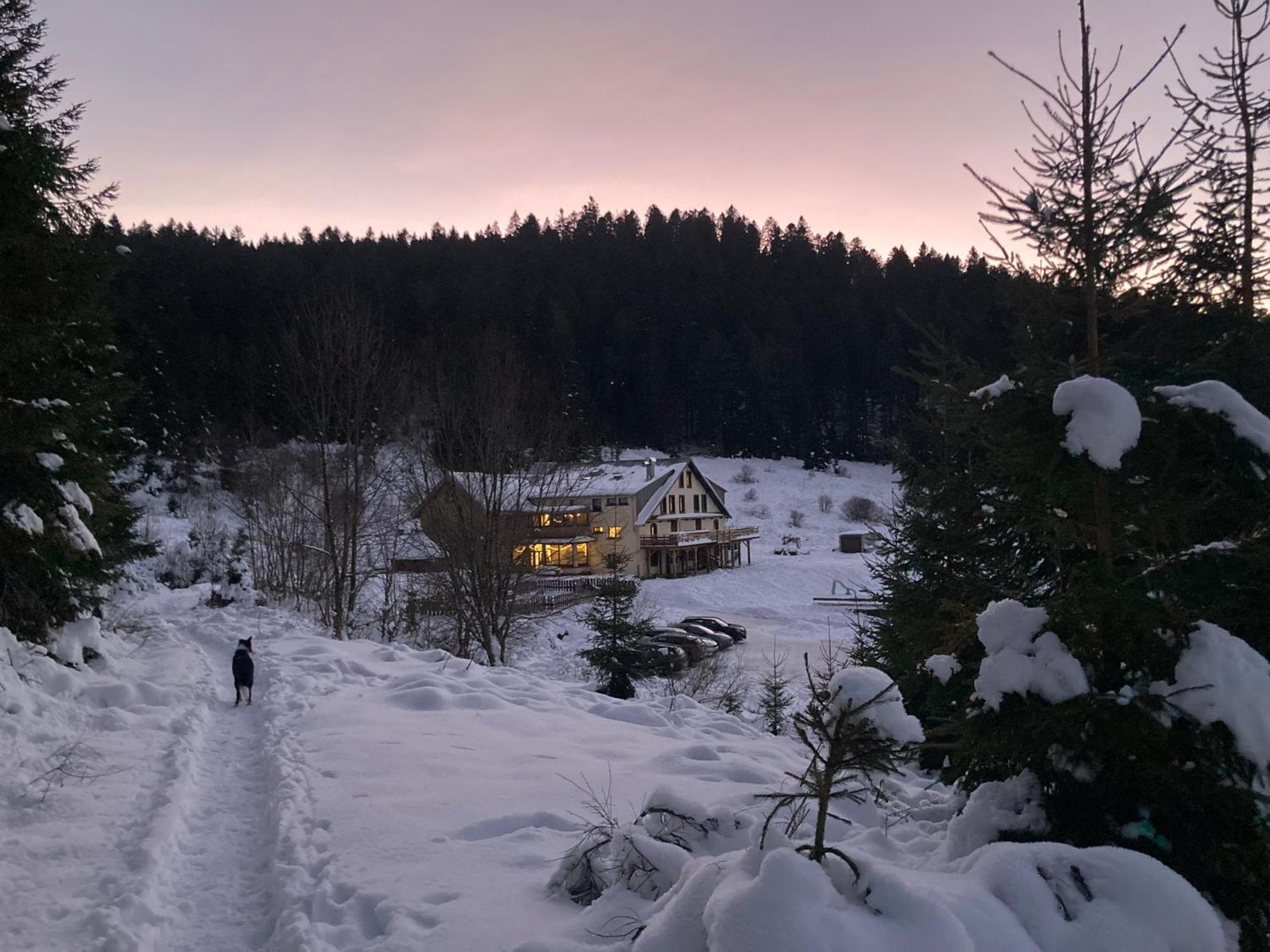 Le Perchoir Du Grand Valtin - Gite 5 Personnes - Altitude 830 Ban-sur-Meurthe-Clefcy Exterior foto
